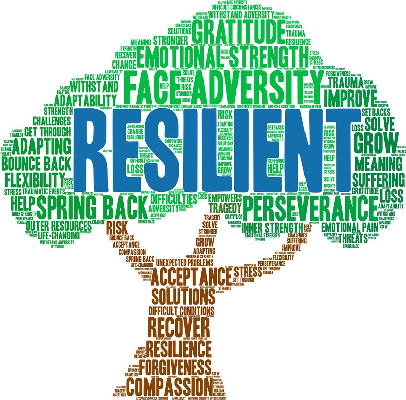 a word cloud forming a tree around the word "resilience"