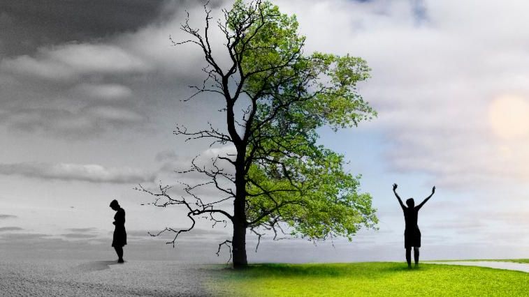 a graphic of a tree showing half in darkness and half in bright light.